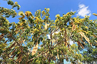 《DC超级英雄Online》开发商裁员 多位高层离职