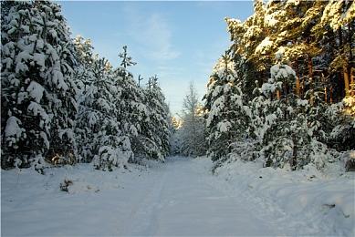 《暗黑破坏神4》新泄露视频 尽情屠杀恶魔！