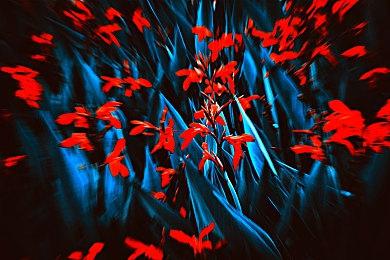 心理恐怖游戏《玛莎之死》配置公开 推荐GTX1060