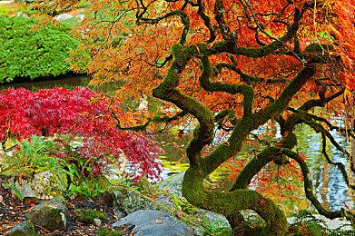 定价超万元 《尼尔：机械纪元》公布2B新手办